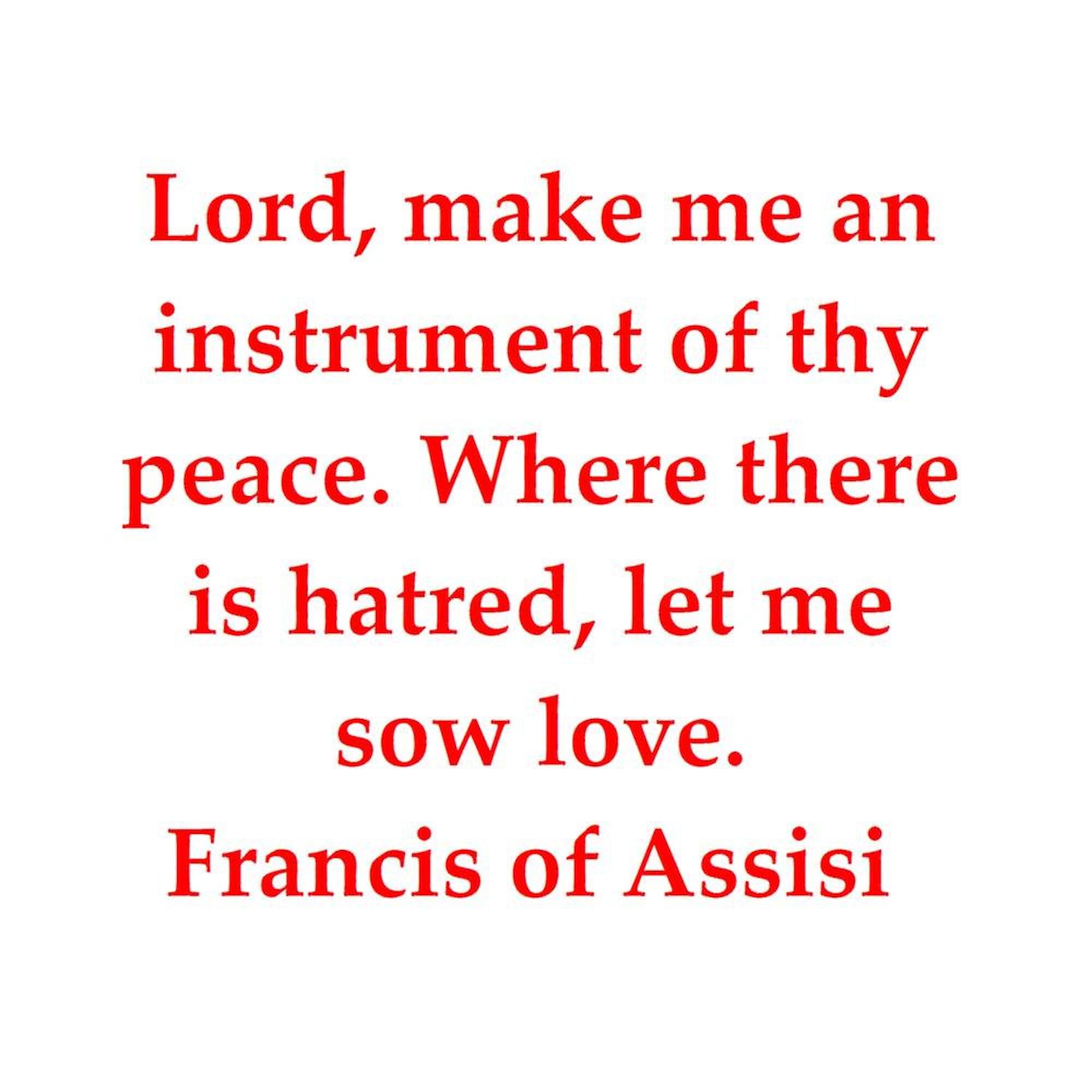 CafePress Fa19 Queen Duvet Cover, Printed Comforter Cover, Unique Bedding