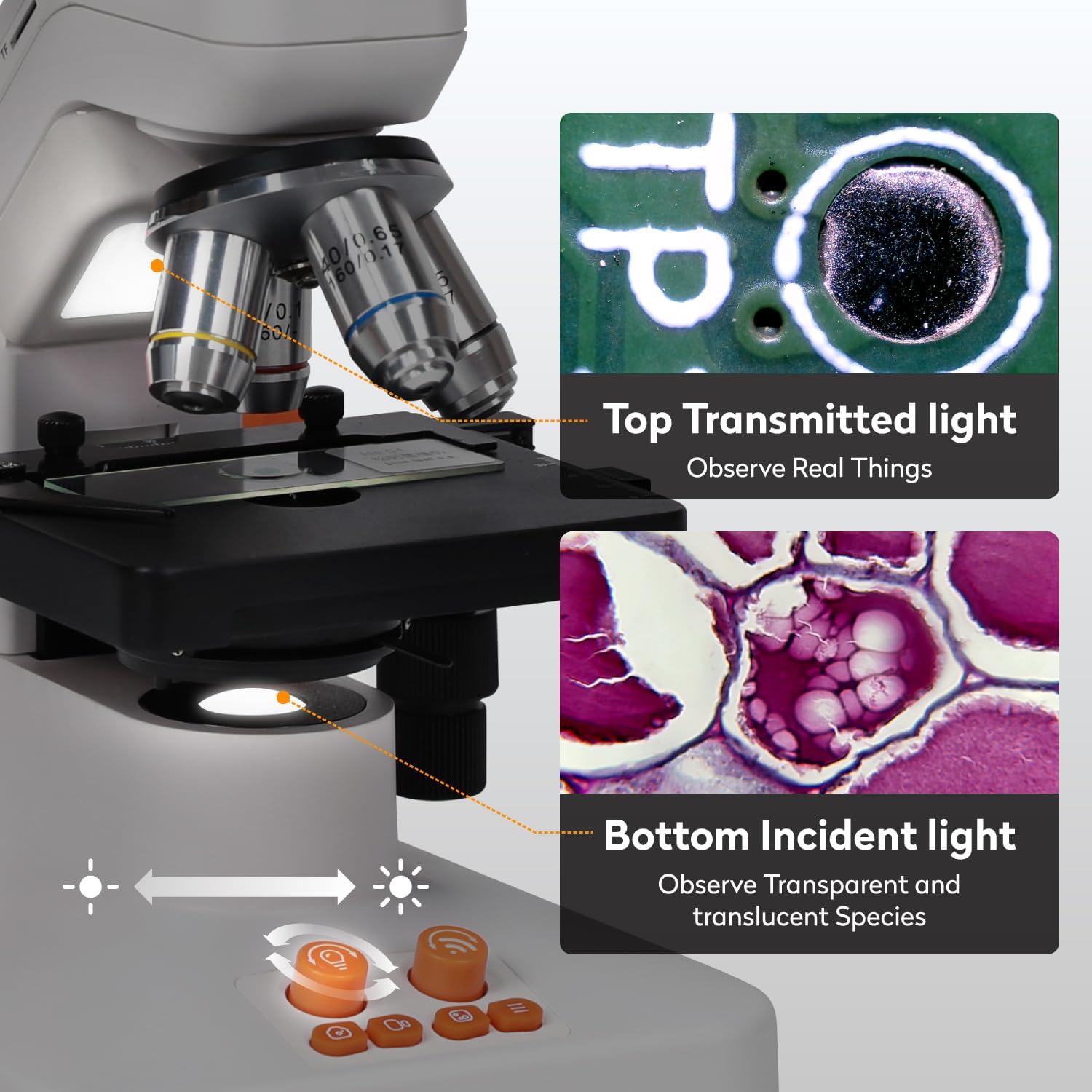MT3-5 Wireless Digital Compound Microscope for Kids Adults, 1600X USB Microscope with 7-inch Touchscreen, Professional Electron Scope with 8MP Camera and 3D Stage for Students School Lab