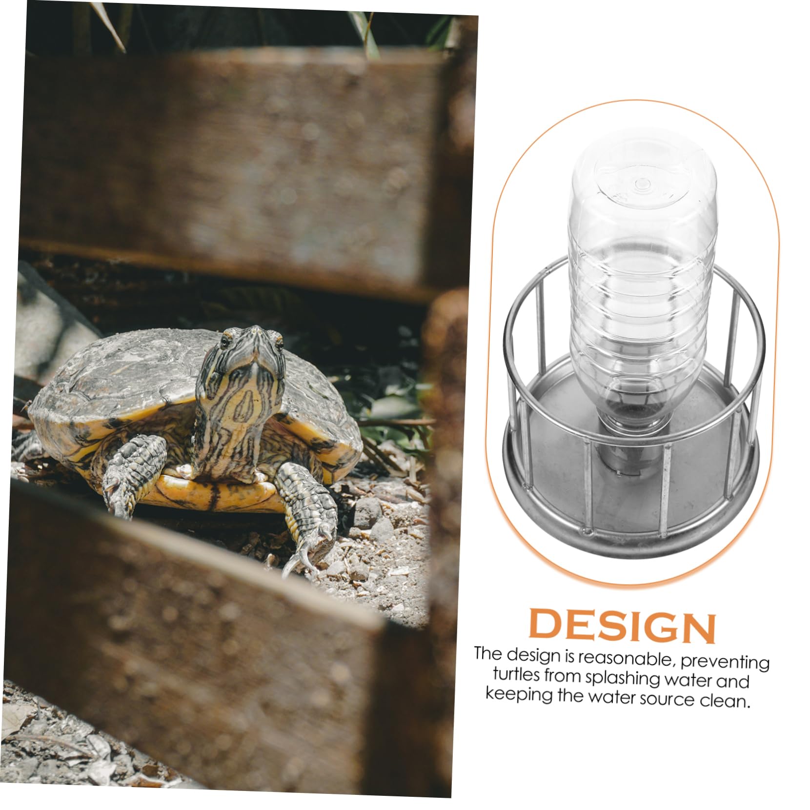 BESPORTBLE 5piezas Bebedero De Agua para Reptiles De Acero Inoxidable Plato De Alimentación Mini para Tortugas Dispositivo Antisalpicaduras para Terrarios y Reptiles