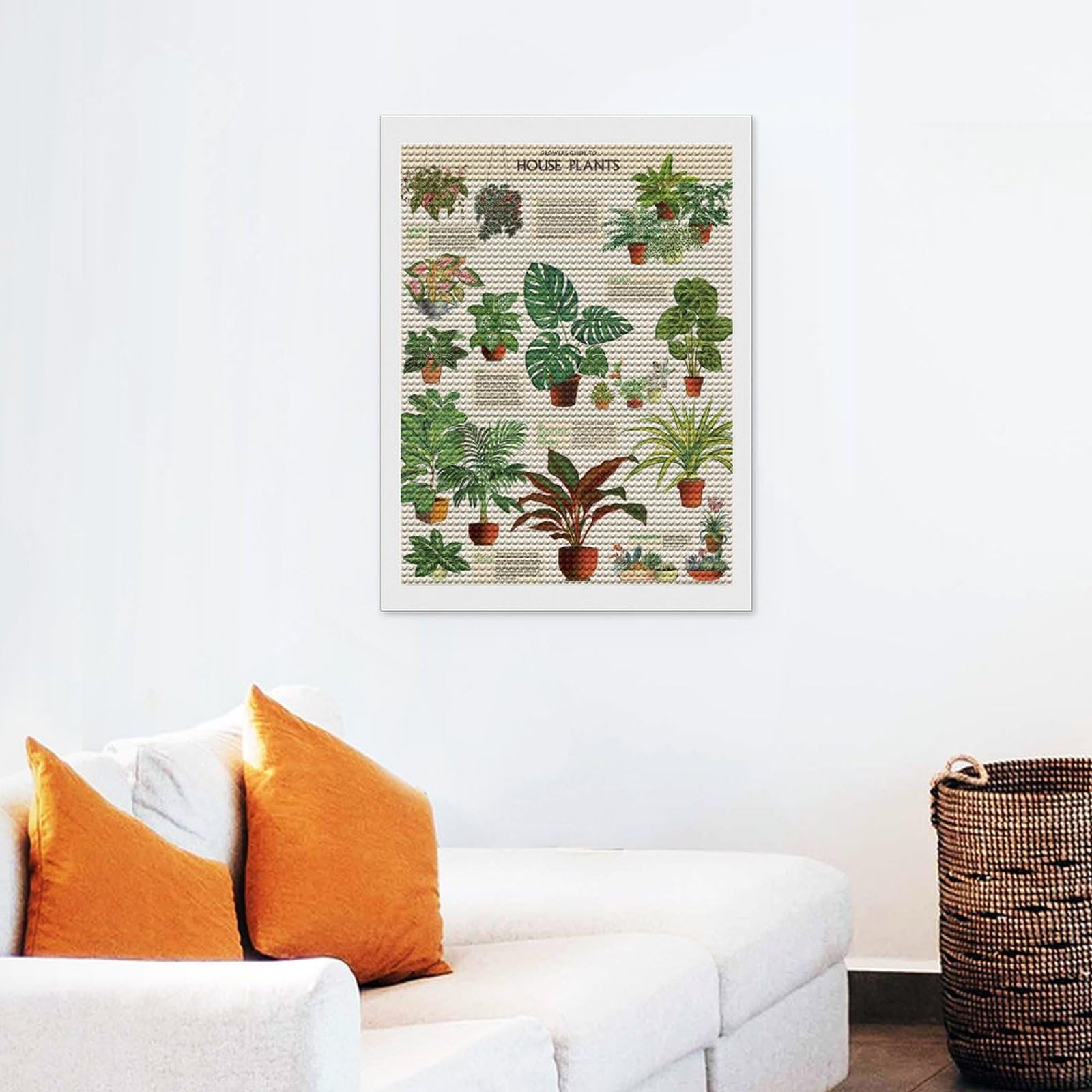 Amazon.co.jp: ダイヤモンドアート 観葉植物 モンステラ 蘭 多肉植物