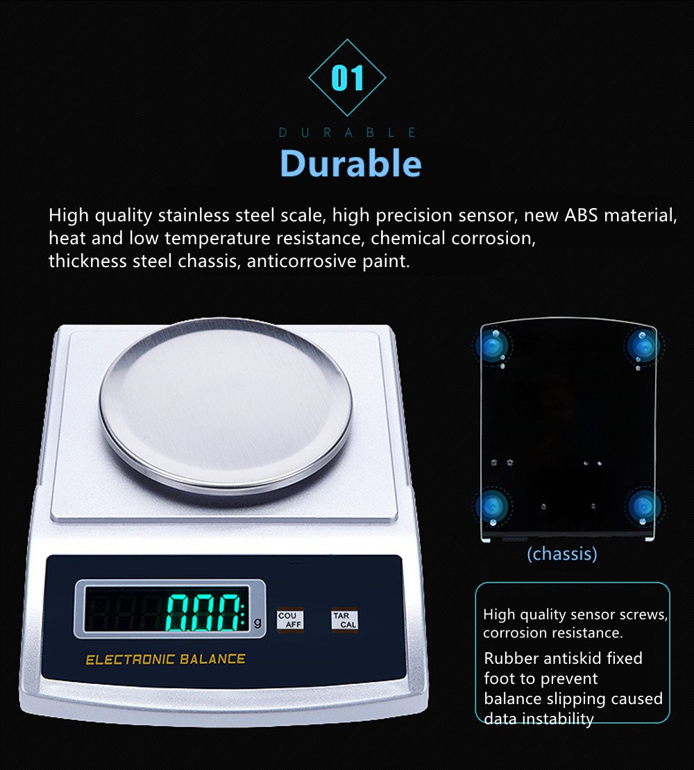 NEWTRY Báscula digital de laboratorio de 1000 g, 0,01 g, balanza de conteo de equilibrio analítico de alta precisión para la industria (1000 g, 0,01 g)