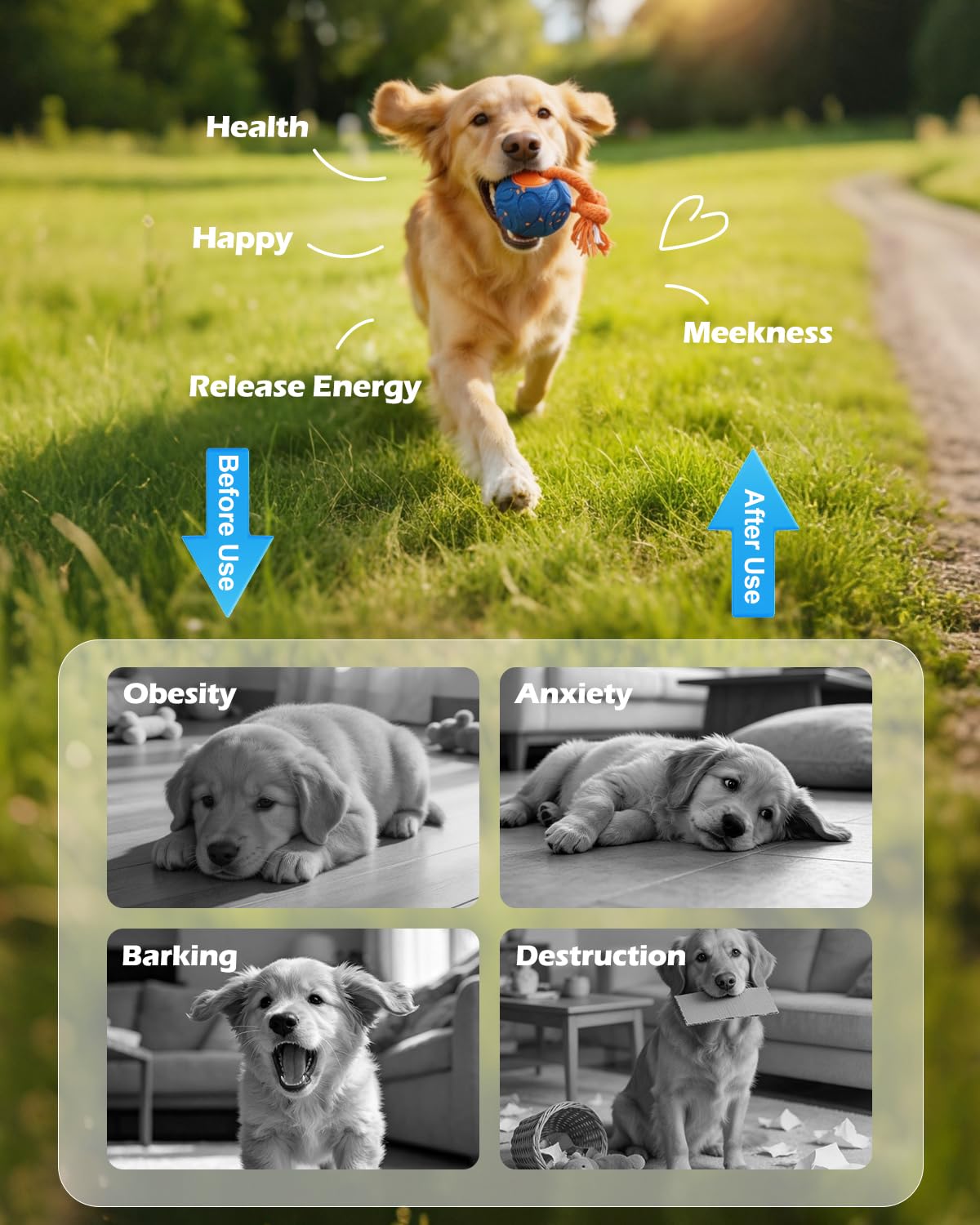 CloudValley Juguete Inteligente Interactivo para Perros con Control Remoto, Material E-TPU
