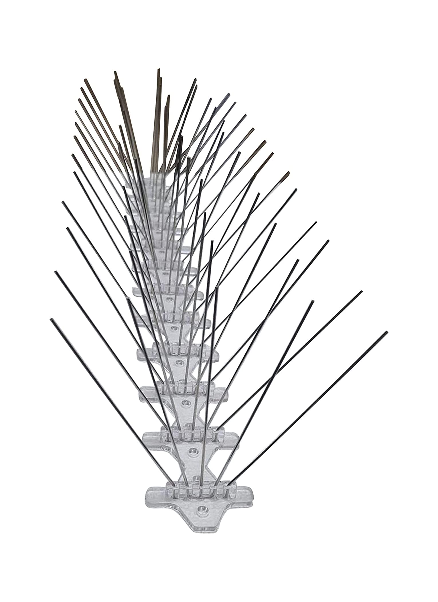 Birds Spike - Silver, 5 Root