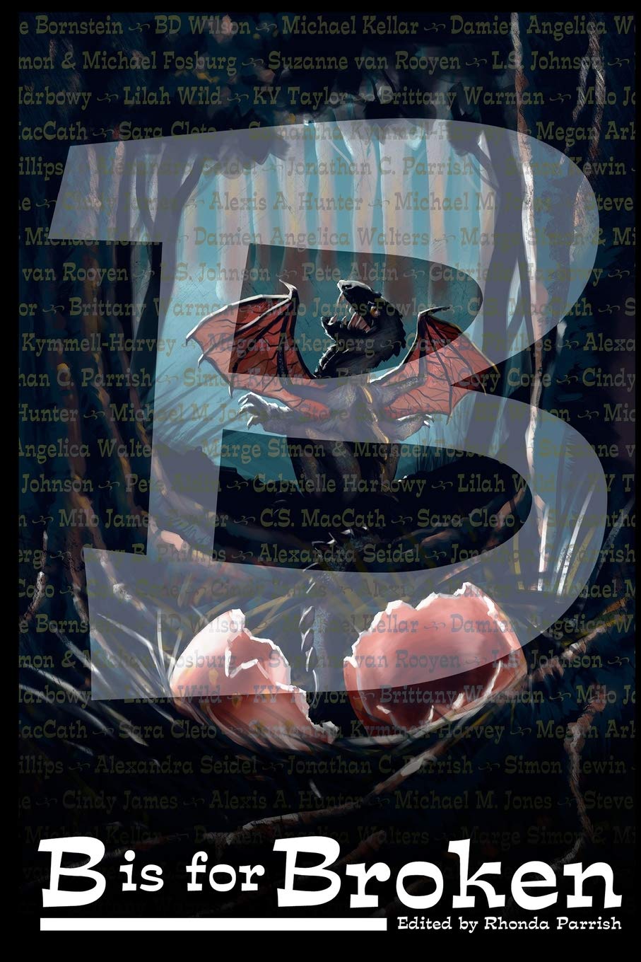 Buy B is for Broken: 2 (Alphabet Anthologies) — BookShops.in