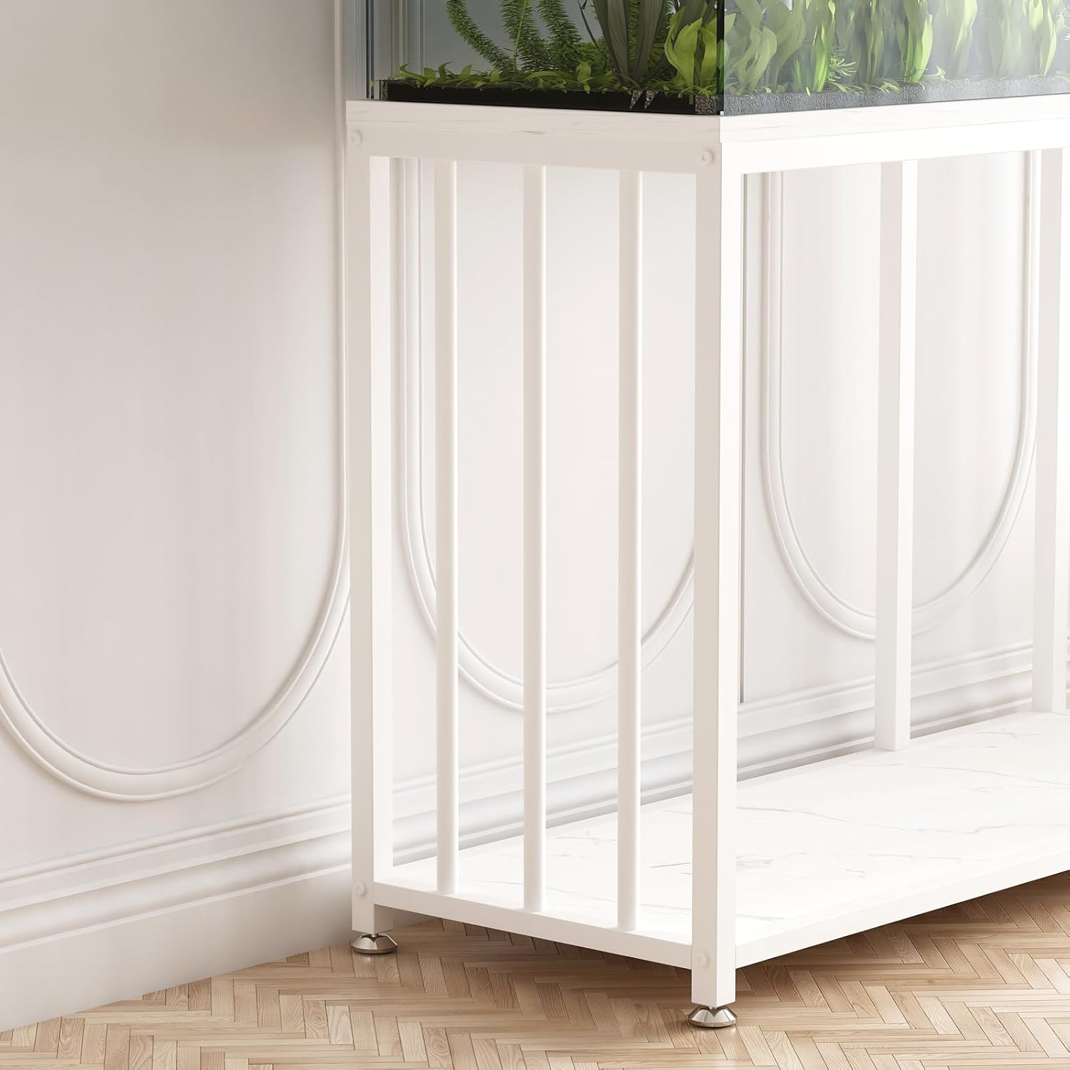 COPIAPOA MONSTER 花付 1littleplanet 羅本製作所 COPIAPOA MONSTER