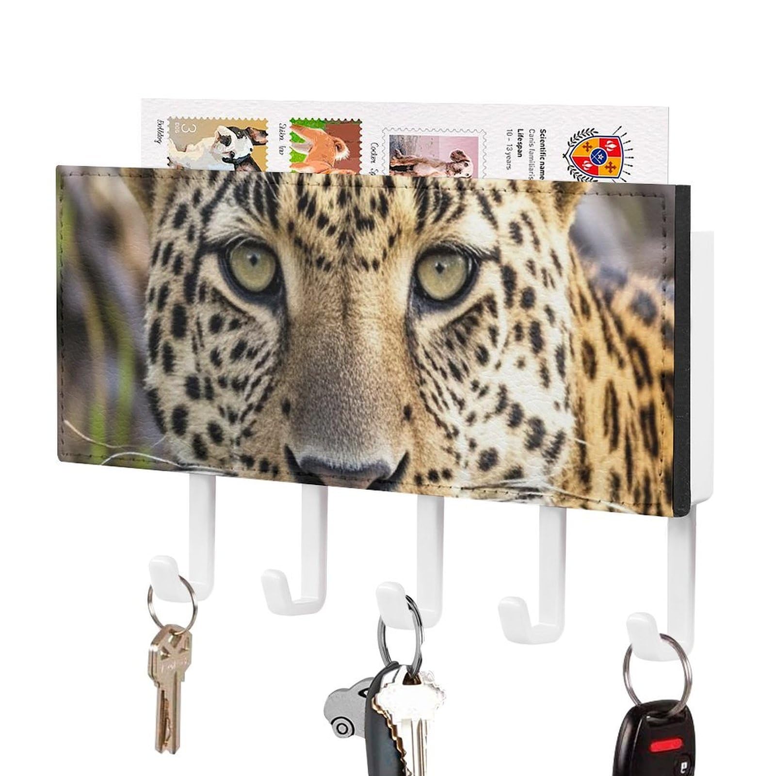 FekiLoot African Animal Leopard Key Holder Wall Mount Key Hanger with 5 Hooks Decorative Key Rack Hanging Key Hooks with Mail Organizer Key Holder for Wall Living Room Kitchen Bathroom Hallway White