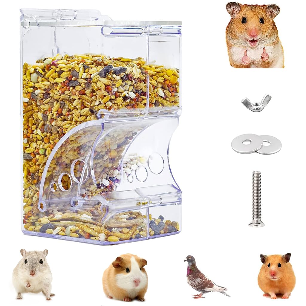 Fresh Look at Qpets Small Pet Feeder Hamster Automatic Food Feeder Acrylic Food