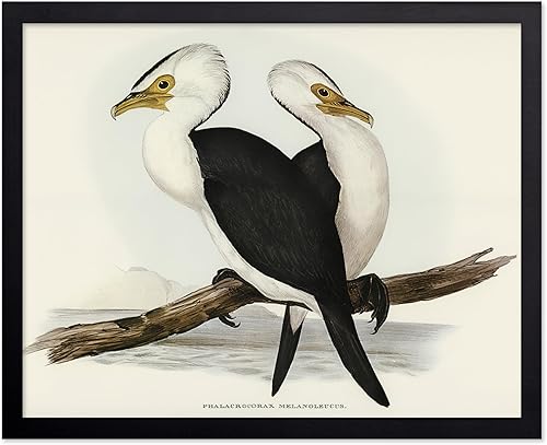 Miniatura 10 de Poster Master Póster vintage de colibríes, impresión de formas de arte retro en la naturaleza, arte de pájaros, regalo para él, ella y amante de los