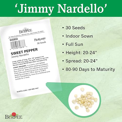 Miniatura 3 de Burpee Semillas de pimiento dulce de Jimmy Nardello 30 semillas
