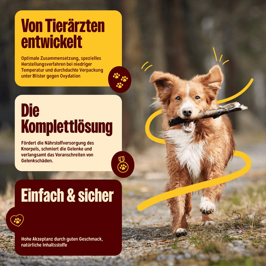 Aplazyl - condroprotector perros - pastillas articulares para perros, ingredientes naturales, desarrolladas por veterinarios, sabrosas y eficientes, 120 pastillas