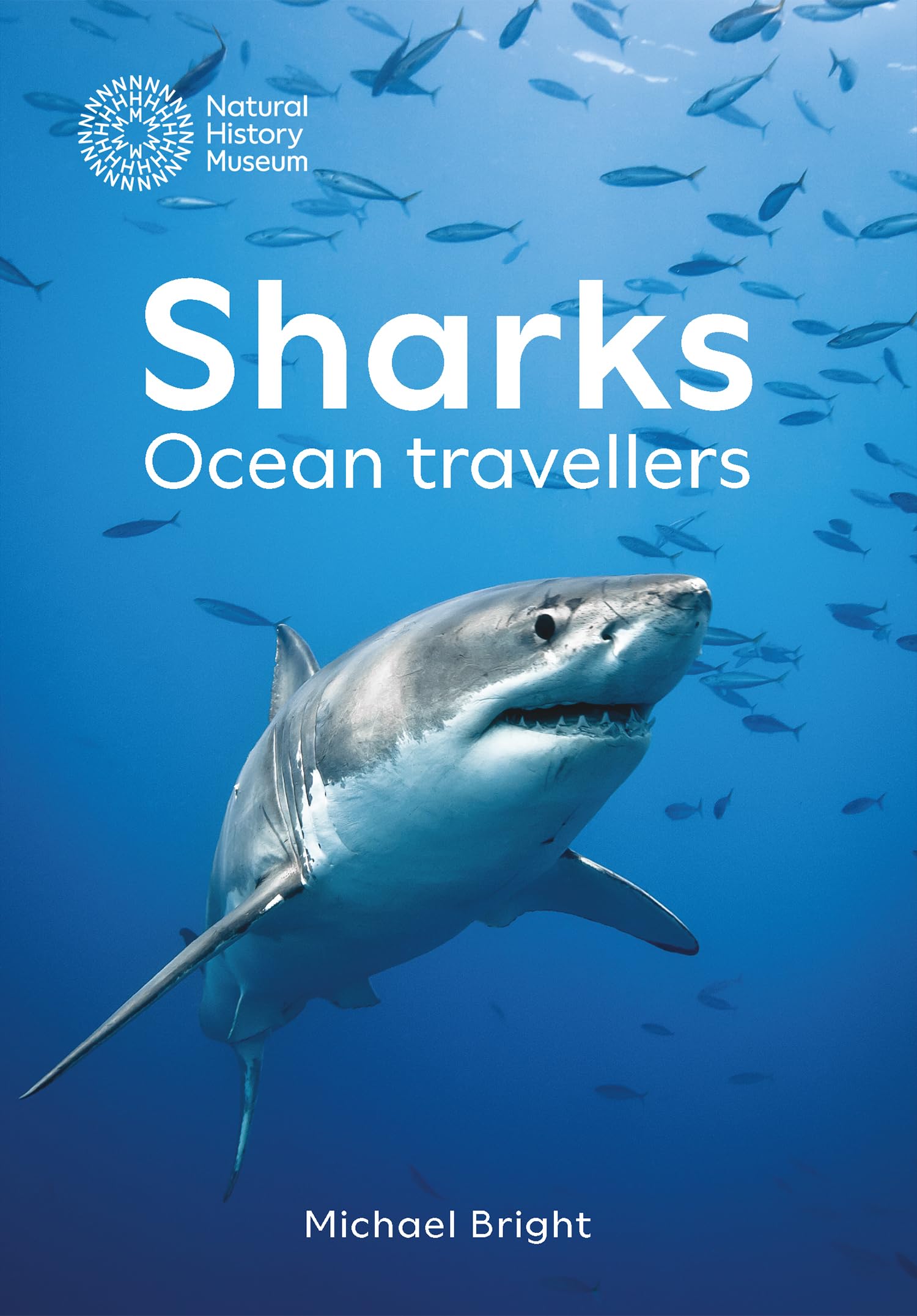 Sharks: Ocean Travellers