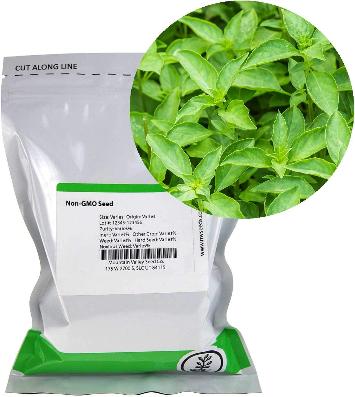 Thai Basil Seeds - Bulk Herb Seeds for Growing Microgreens, Indoor Gardening: Micro Greens Salad (4 Oz)