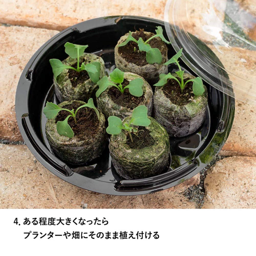 Amazon.co.jp: Sakata no Seedfun: First Time Seed's Easy Seeding