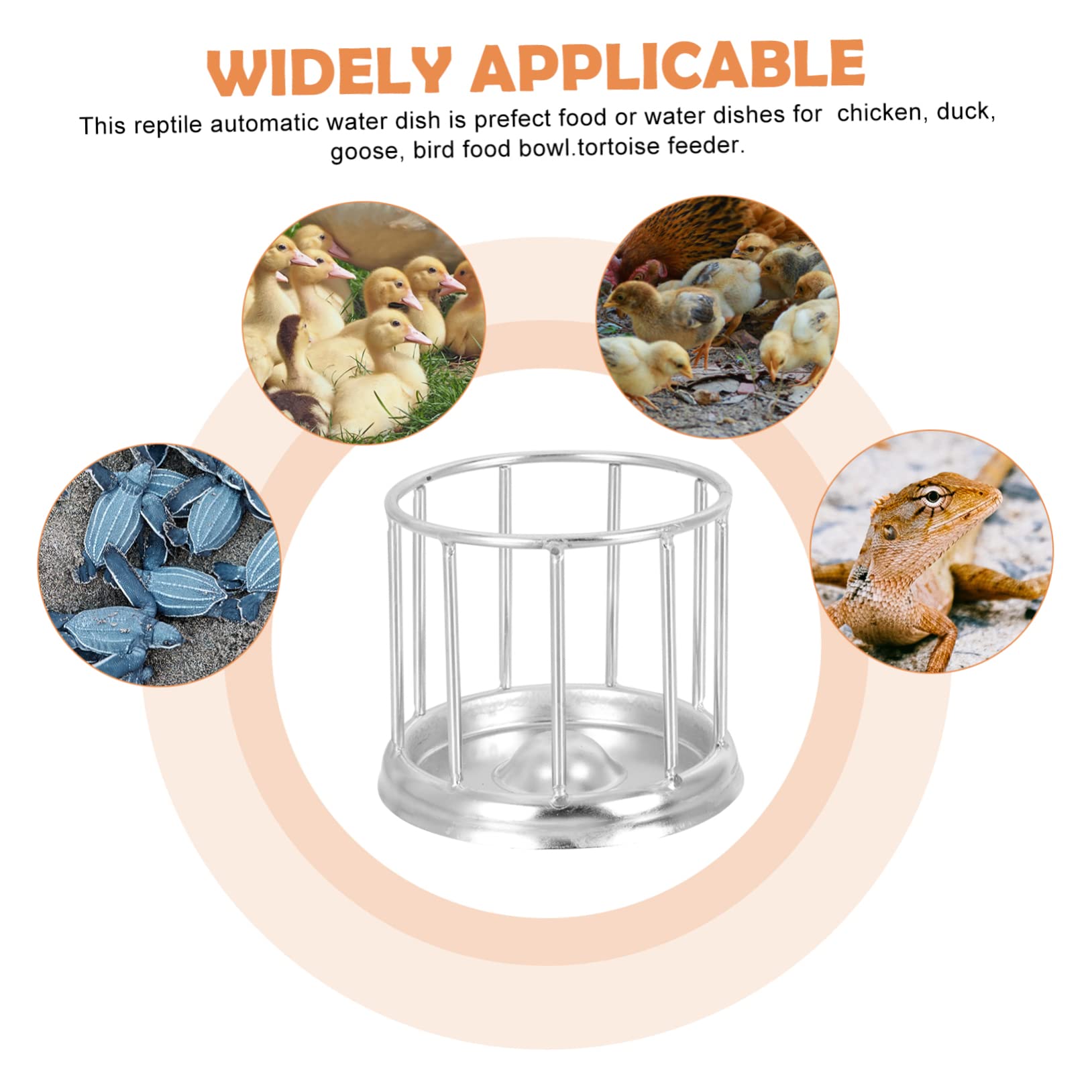 BESPORTBLE 2pezzi Mangiatoia Automatica Acciaio Inossidabile per Rettili Ciotola e Facile da Pulire per Tartarughe e Lucertole Design Compatto e Sicuro per Moment di Alimentazione