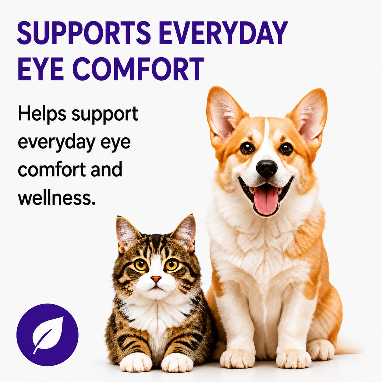 BrightEyes Liquid Tear Stain Supplement for Dogs & Cats, 2 fl oz — Amazon image 7