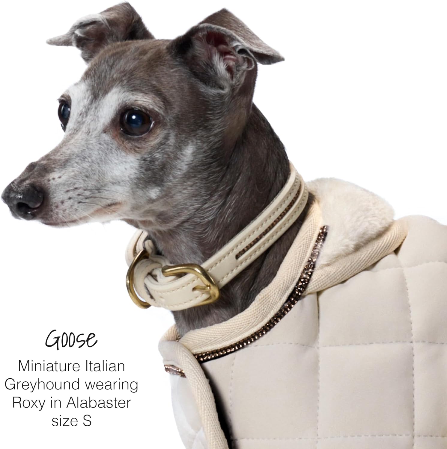 Roxy - The Crystal Bling Collar, Durable Vegan Leather with Brass & Crystals Pet Collars, Small, Medium, Large Dogs​​, Blush, X-Large (27")