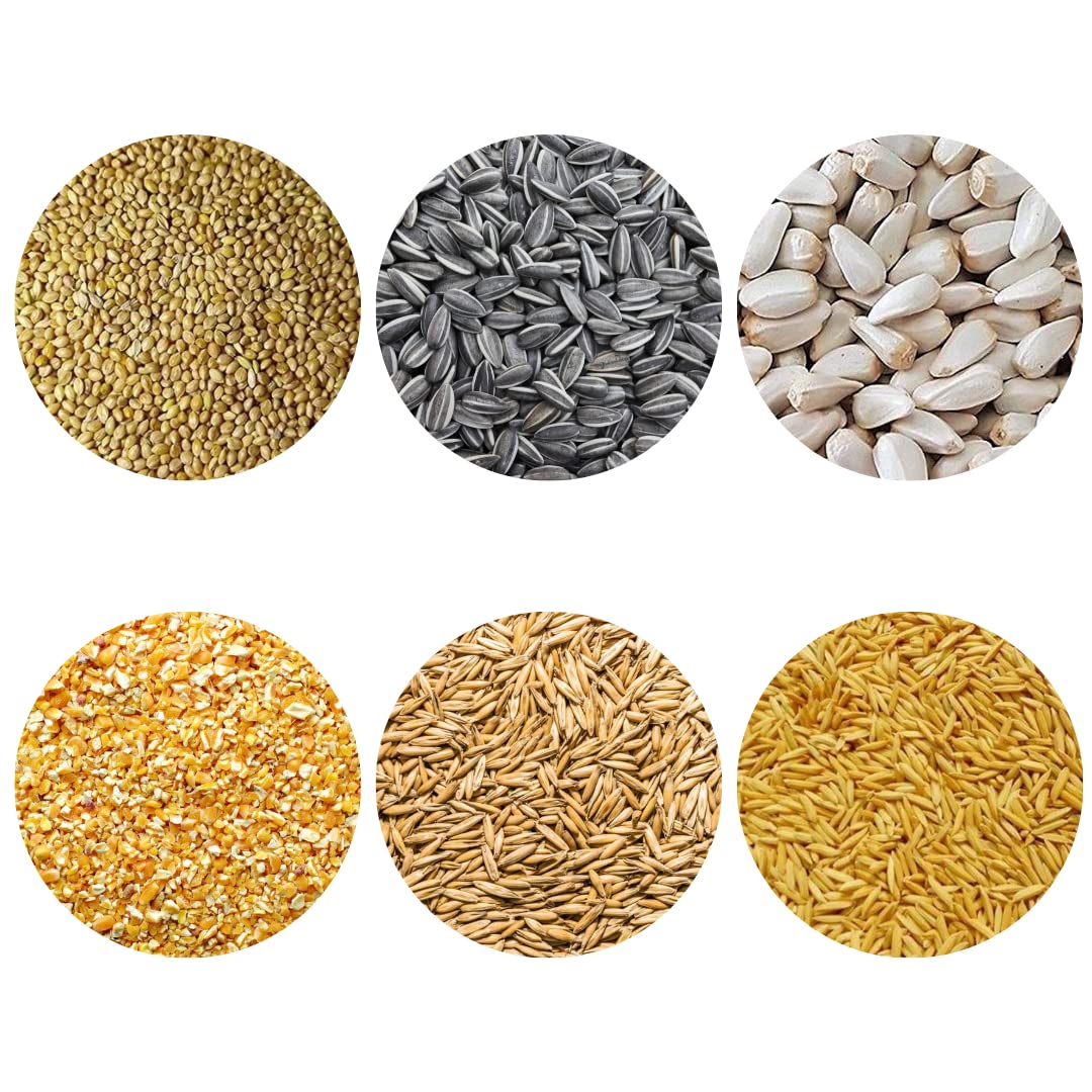 Pripton 6 in 1 Birds Food Combo, Kangni Seeds, Sunflower Seeds, Kusum Dana, Corn Crush, Oats Seeds, Paddy Seeds 900g Dry Adult, Young, Senior, New Born Bird Food (B0BNGF76Y4) Amazon Price History, Amazon Price Tracker