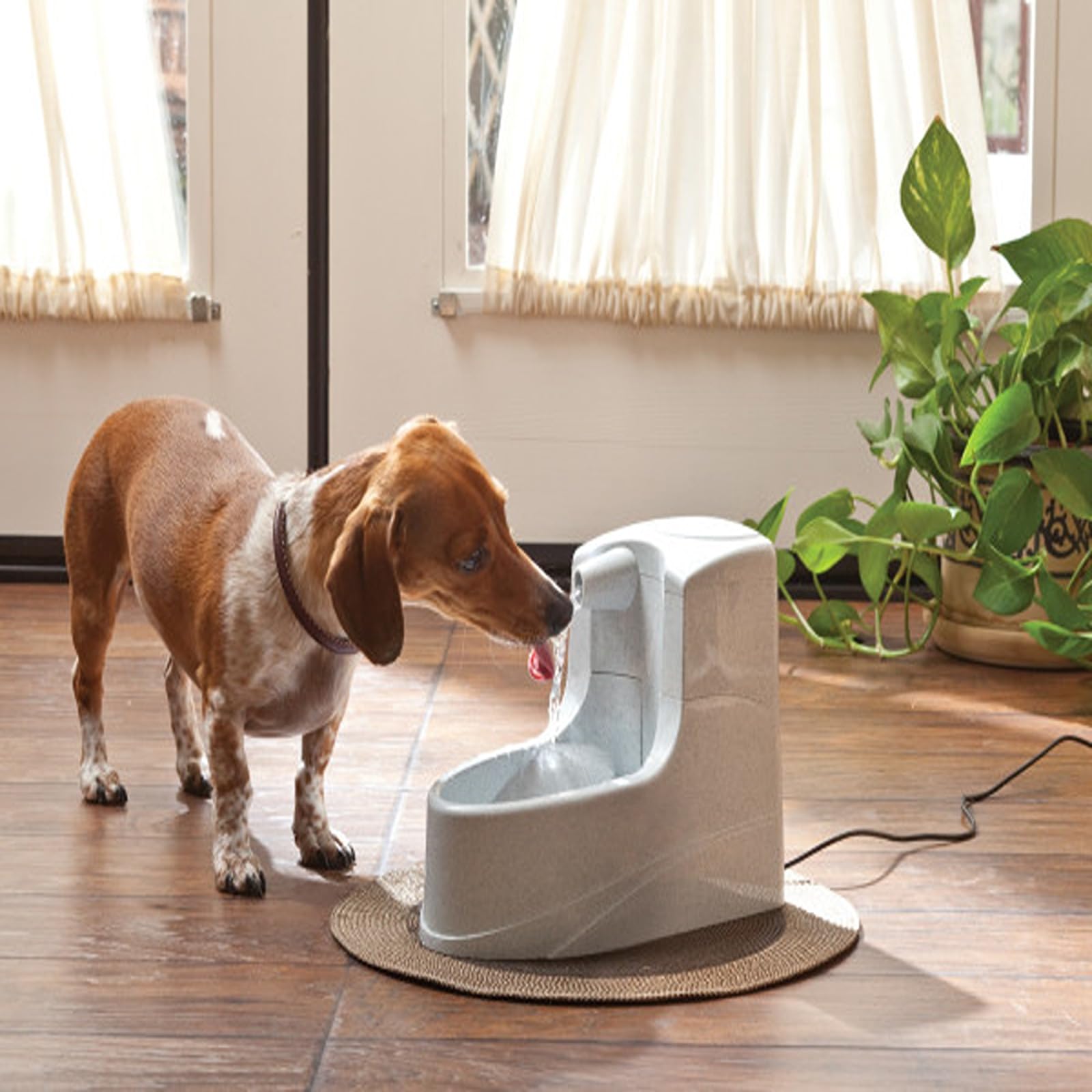 PetSafe Drinkwell Trinkbrunnen Mini, Zweifaches Filtersystem, Für kleine Hunde und Katzen geeignet, 1,2 Liter Wasserkapazität