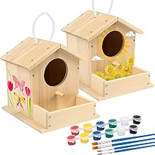 LotFancy Birdhouse Kit for Kids, 2 Birdhouse to Paint, Wooden Craft Set, Birdhouse Building Set, Easter Gifts for Babies