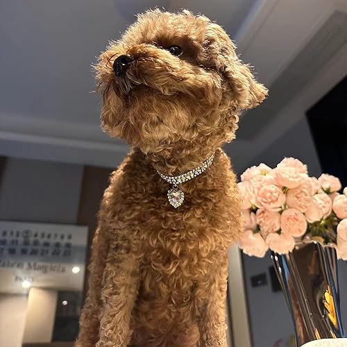 Miniatura 4 de Collar para mascotas con diamantes de imitación, collar brillante de 3 filas de diamantes de cristal, collar de boda con diamantes de imitación