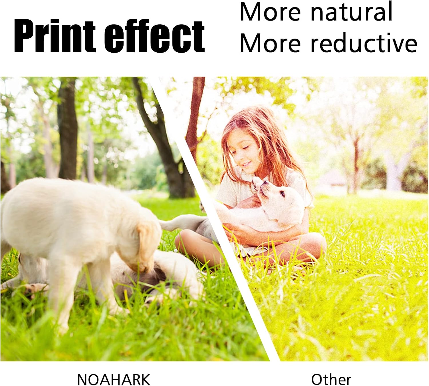 NoahArk 4 Packs Compatible Phaser X6020 106R02759 106R02756 106R02757 106R02758 Toner Cartridges Replacement for Xerox Phaser 6020 6022 WorkCentre 6025 6027 Printer (1 Black,1 Cyan,1 Magenta,1 Yellow) - Image 4