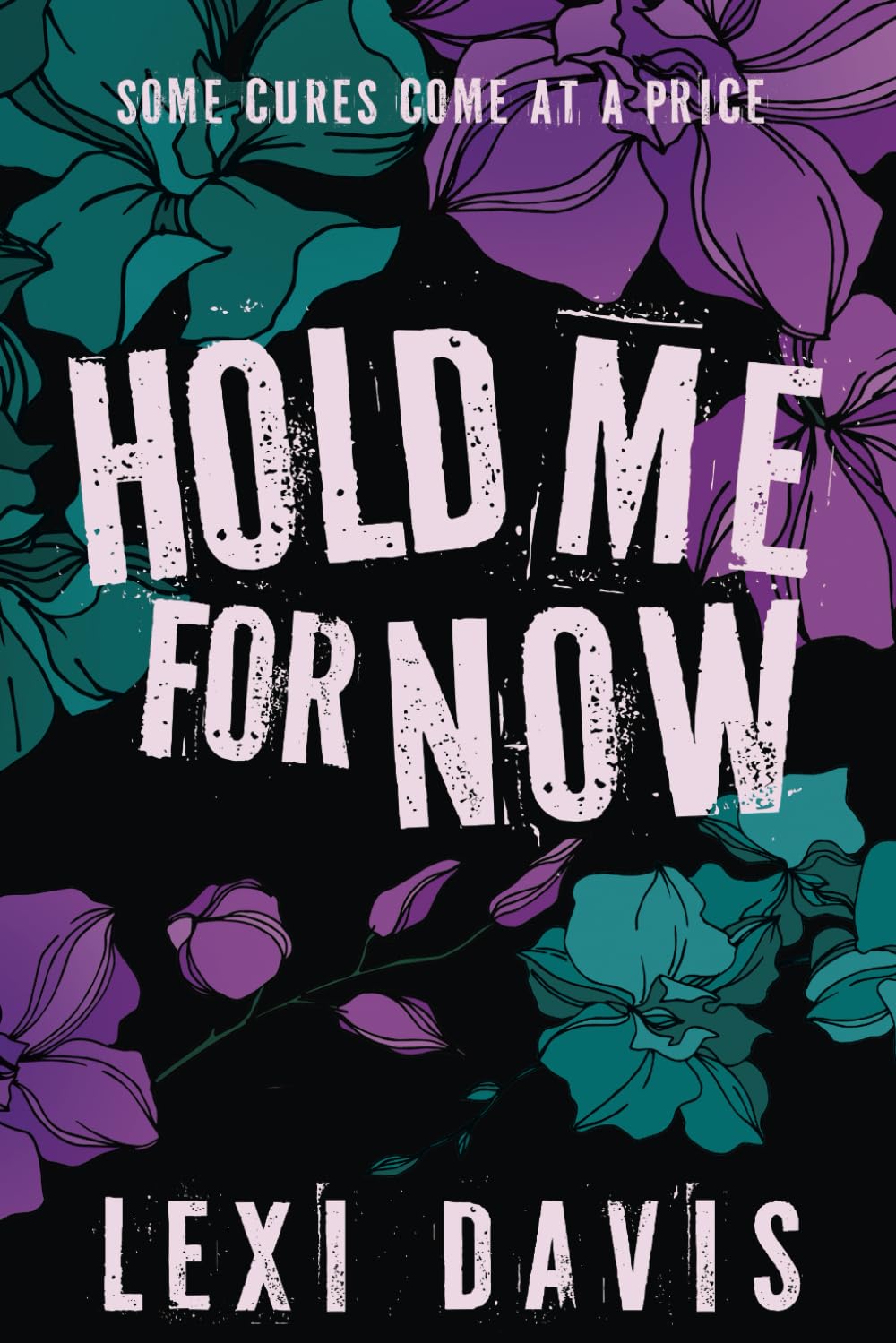 Hold Me For Now: A Dark Romance Novella
