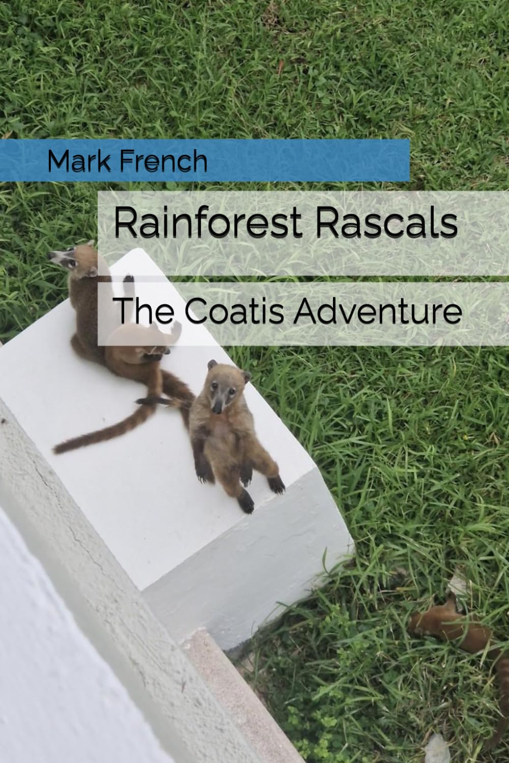Rainforest Rascals:: The Coatis Adventure.