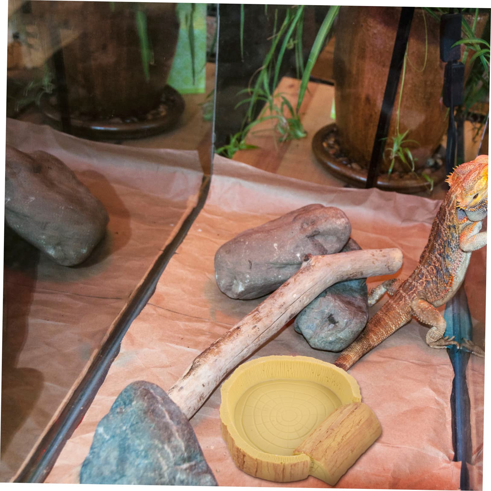 Toyvian Ciotola per Rettili in Resina, Arancione, Facile da Pulire, per Cibo e Acqua nel Terrario, Accessorio per Rettili e Tartarughe