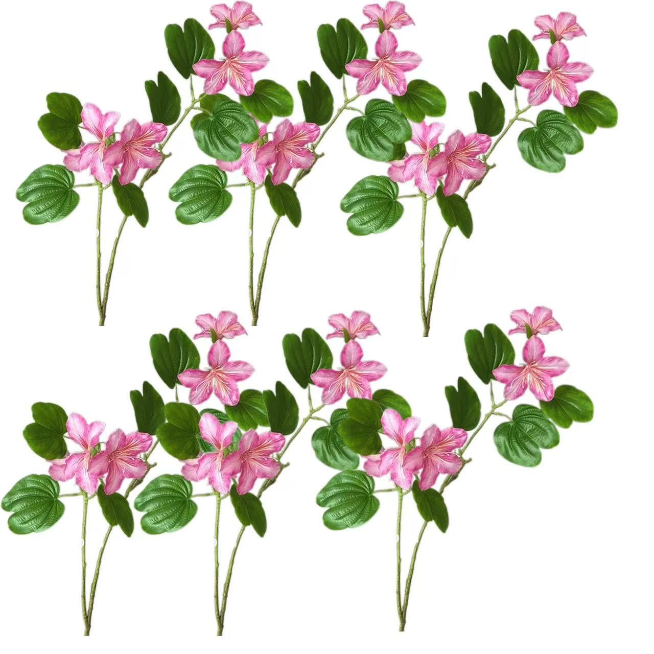 Product image 1 of 9