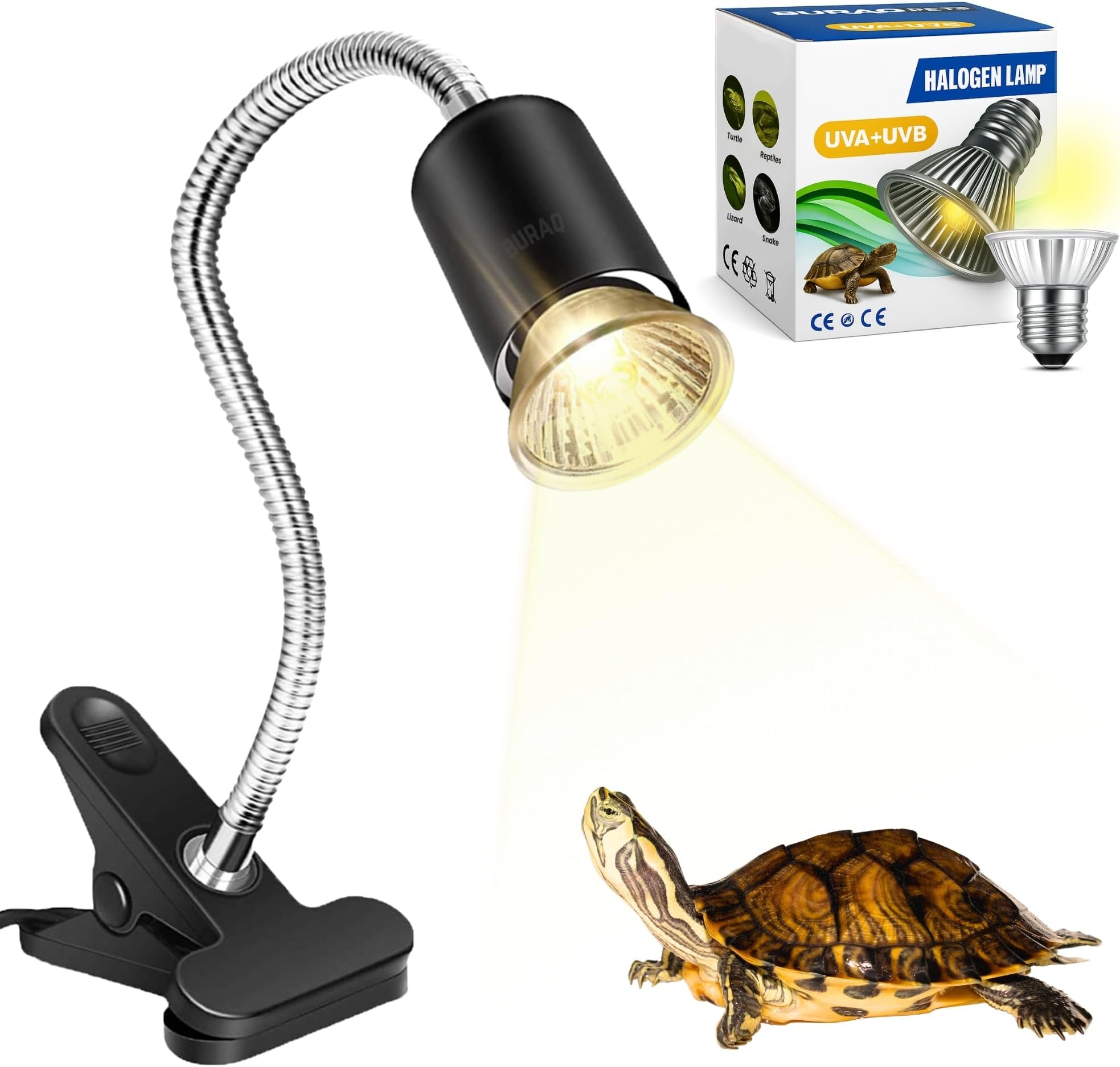 - BURAQ UVA+UVB Reptile Heat Lamp with Holder – 75W Turtle Basking Light, E27 Ceramic Socket, Full Spectrum Sun Lamp for Tortoises, Lizards, Chameleons & Aquarium Tanks