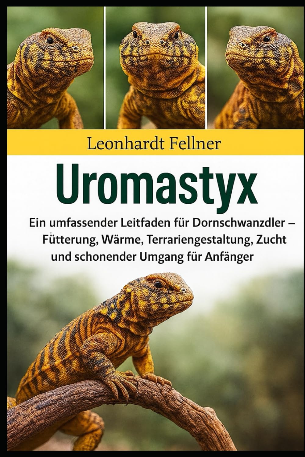 UROMASTYX: Ein umfassender Leitfaden für Dornschwanzadler – Fütterung, Wärme, Terrariengestaltung, Zucht und schonender Umgang für Anfänger