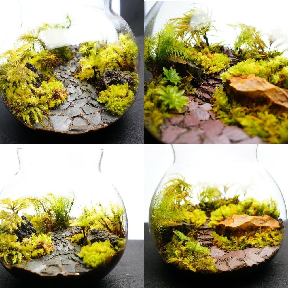 【制作キット】【石畳が作れる】M:13cm ツールなし LEDライト付ボトルse Amazon.co.jp: 【制作キット】【石畳が作れる】M:13cm ツールなし LED