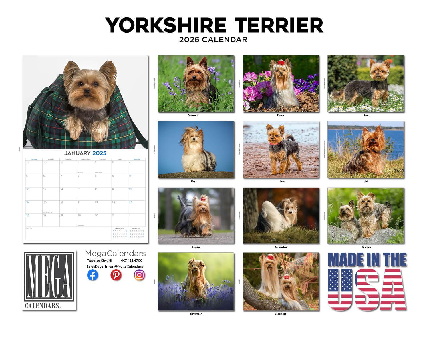 Calendario 2024 2025 Yorkshire Terrier, calendario mensile da parete con razza di cane, 30,5 x 45,7 cm, aperto, carta spessa senza sbavature, regalo, calendario per insegnanti accademici,