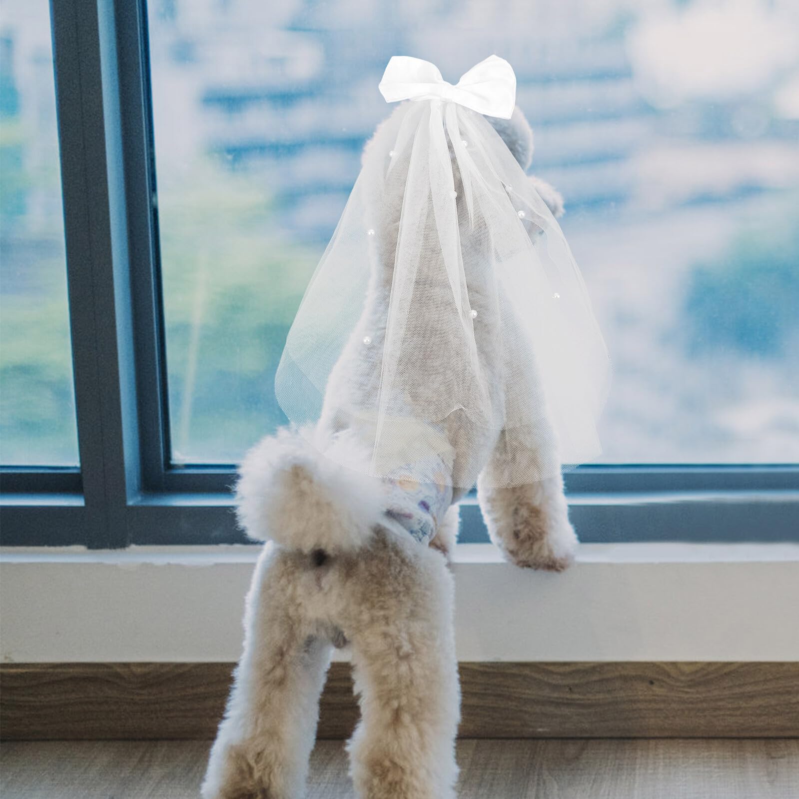 Kichvoe Velo da Sposa per Cane in Garza Bianco Design Elegante e Delicato, Accessorio per Decorazioni e Matrimoni di Animali Domestici, Esperienza di Indosso Piacevole