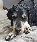 Review Image by CatJones CatJones