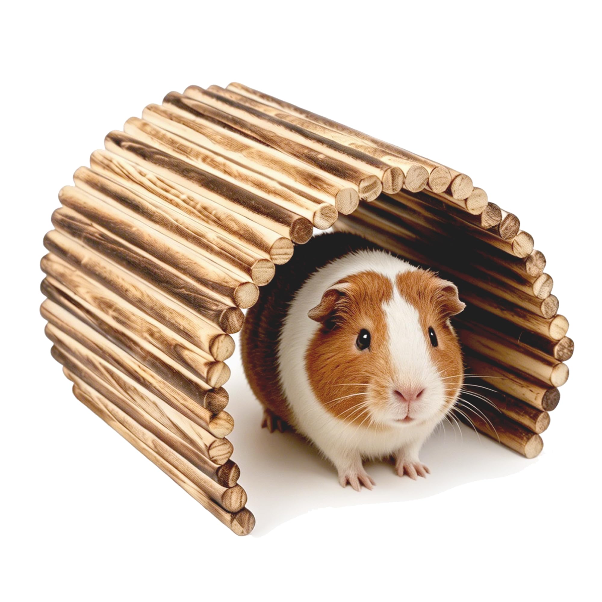 Extra Large en Bois Multi-Usages Cachette Tunnel Rampe Pont Tube Escalade Jouet pour Cochons d'Inde, Petits Lapins, Tortues et autres Petits Animaux de Compagnie 50cm x 24,9cm