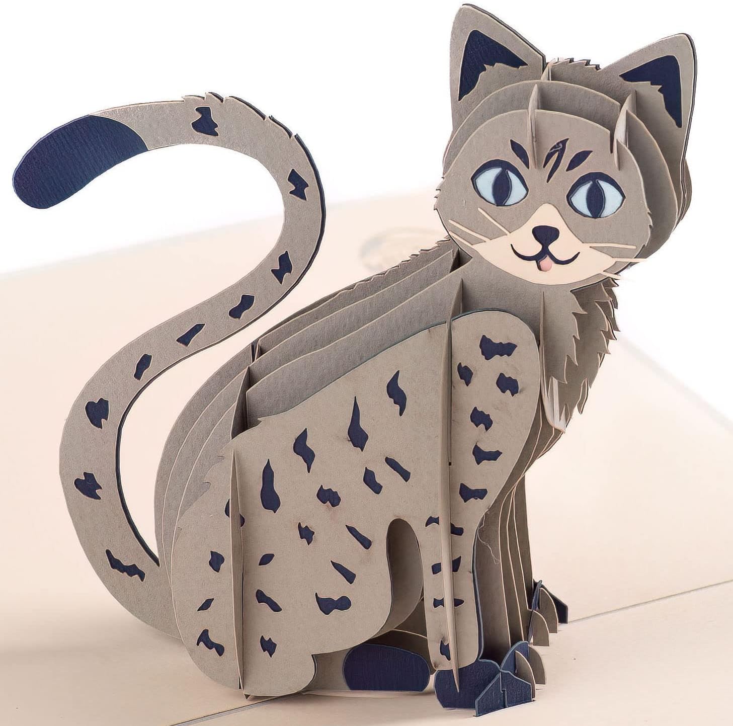 Cat Pop Up Card by DEVINE Popup Cards w/envelope (8"x6") | Pop Up Greeting Cards | Pop Up Birthday Cards for Women Mom | Funny 3D Cards All Occasion