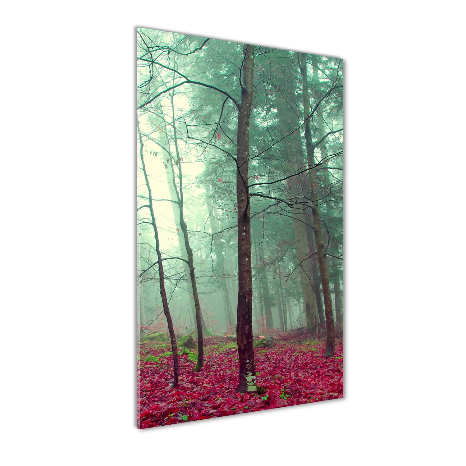 Tableaux pour la mur et mural art : Tulup impression sur verre acrylique 60x120 forêt d'automne