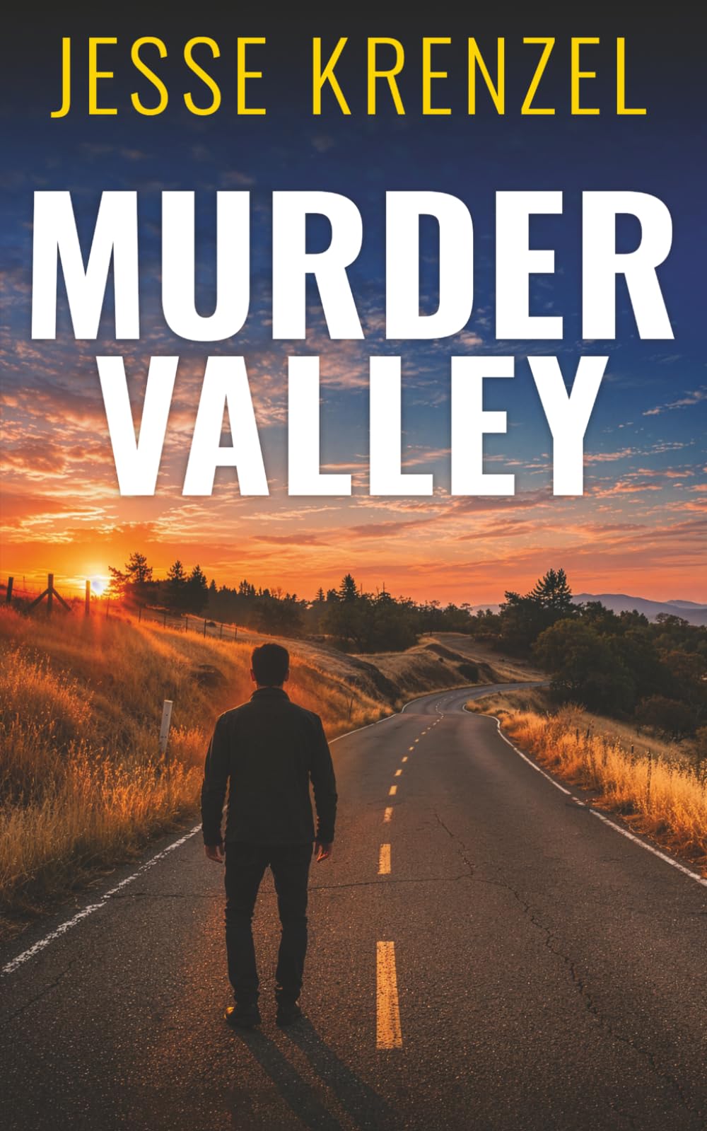 MURDER VALLEY an unputdownable legal crime thriller (The Jack Larue Legal Thrillers)