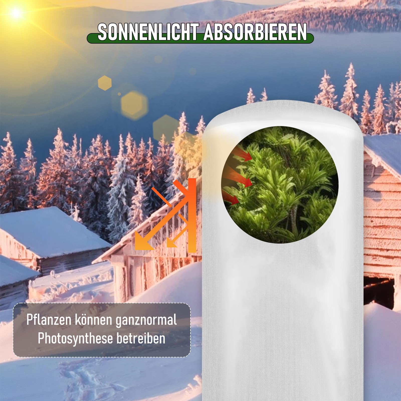 Housse de protection pour plantes d'hiver, en PVC transparent pour mini