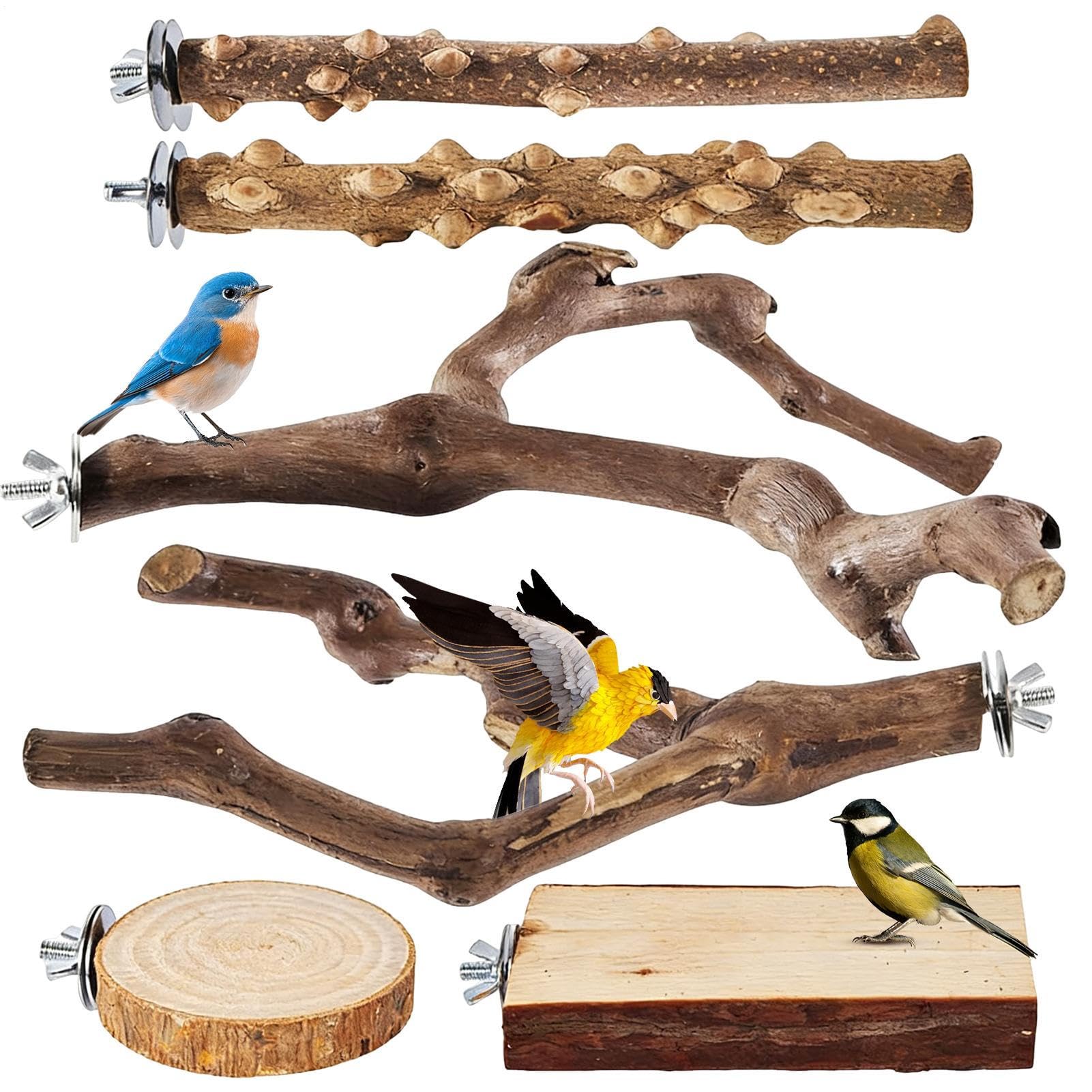Perchoirs cage oiseaux et jouets escalade bois pour perruche et calopsitte
