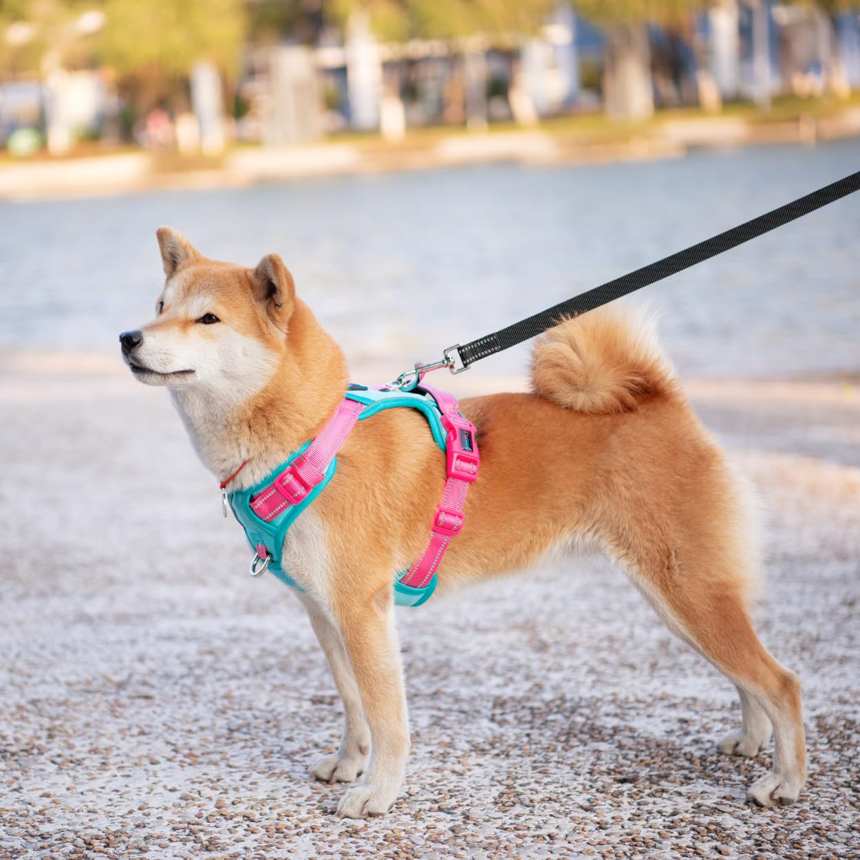PHOEPET Anti-Pull Dog Harness Adjustable with Reflectors, Training Handle & Metal Clips for All Dog Sizes (S - Image 3
