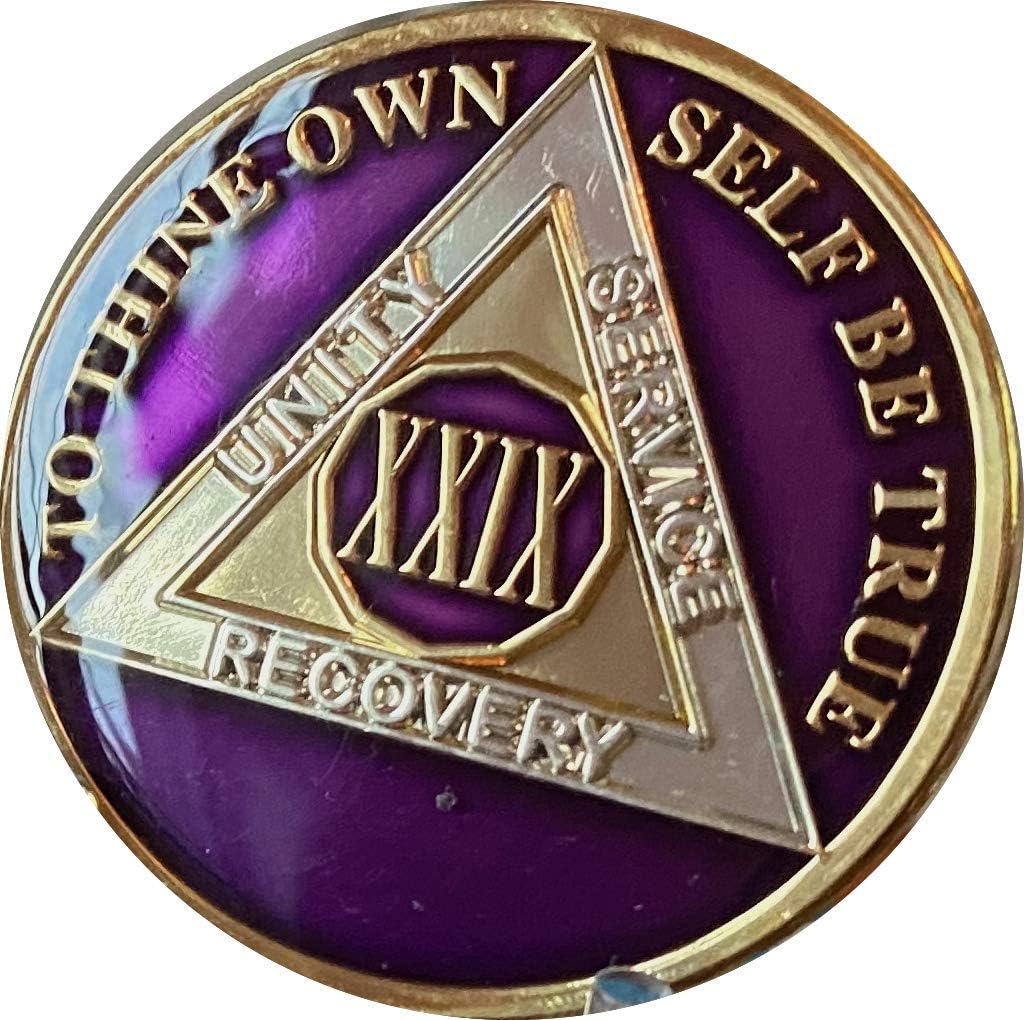 Ranger Industries 29 Year AA Medallion Metallic Purple Tri-Plate Sobriety Chip XXIX