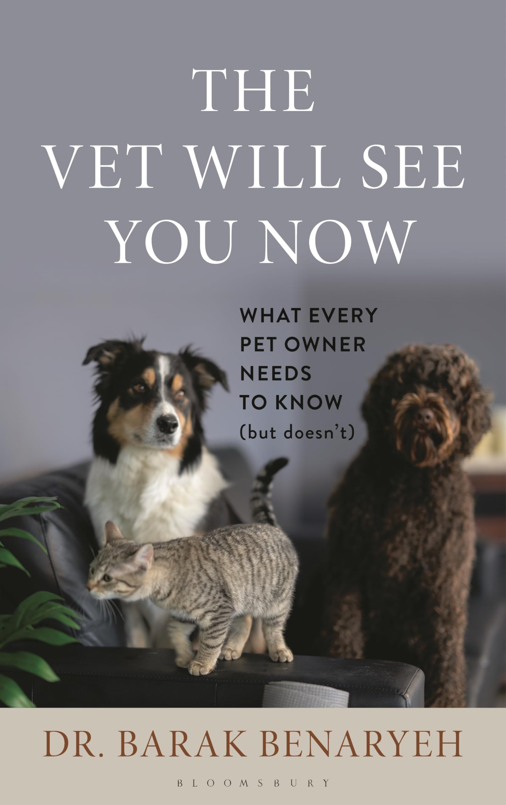 The Vet Will See You Now: What Every Pet Owner Needs to Know (But Doesnt)