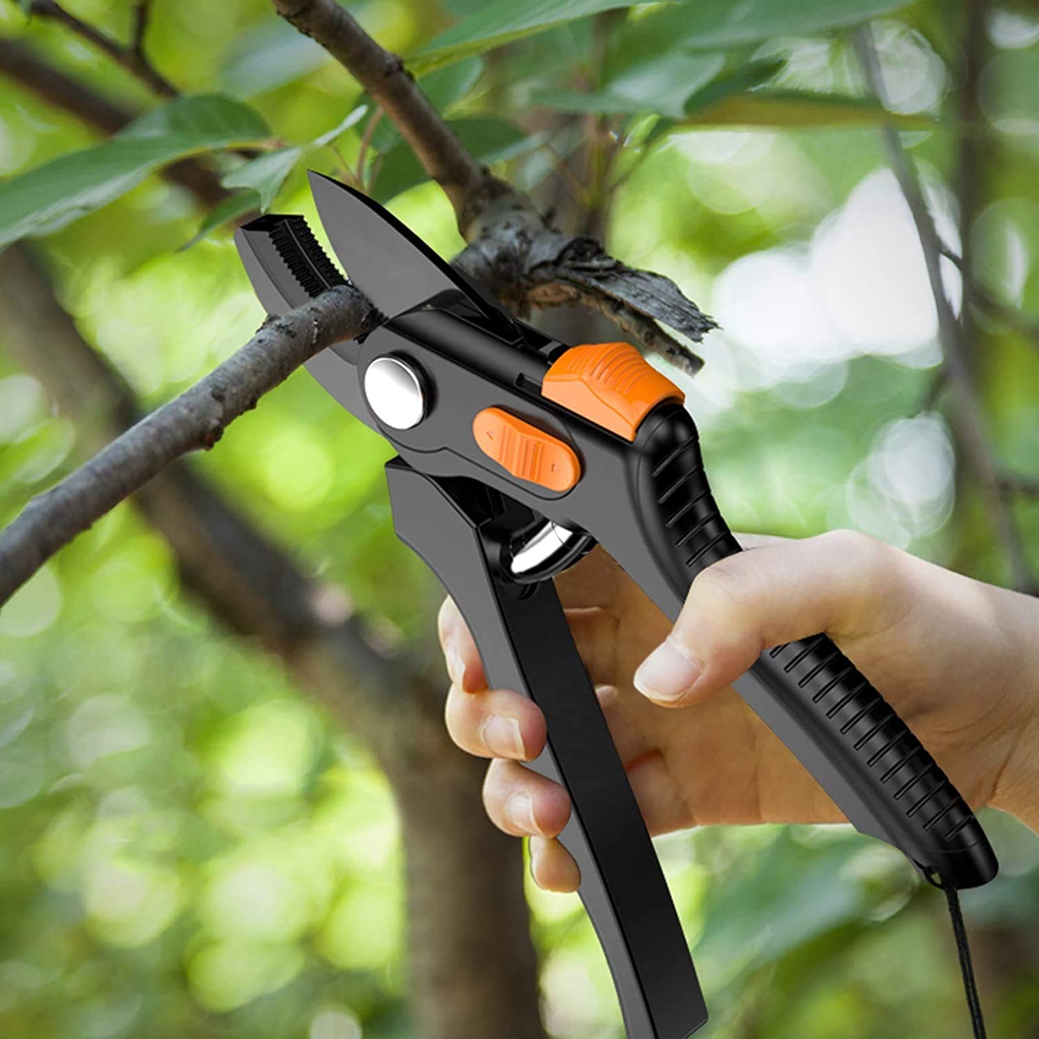 Forbici da Giardino, Forbici da potatura, Forbici da potatura Professionali con Lama affilata in Acciaio SK-5 con Molla di Ricambio, Forbici da Giardino, Cesoie da potatura Leggere