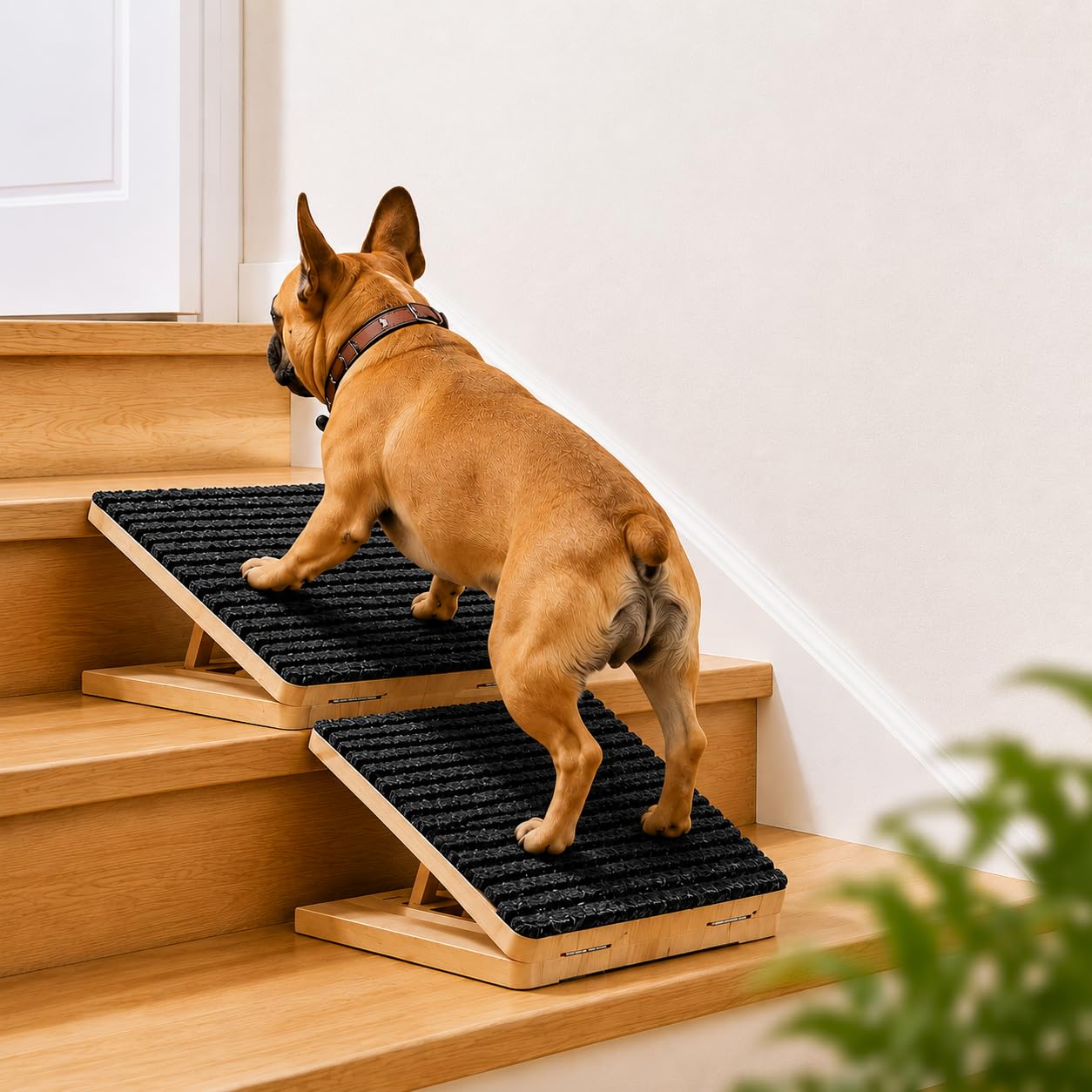 View 1 of Wood Dog Ramp for Stairs for Small Dogs, Foldable Indoor Pet Ramp with Non-Slip Surface, Stair Ramp for Puppies, Senior Dogs, Corgis & Dachshunds(2Pack)