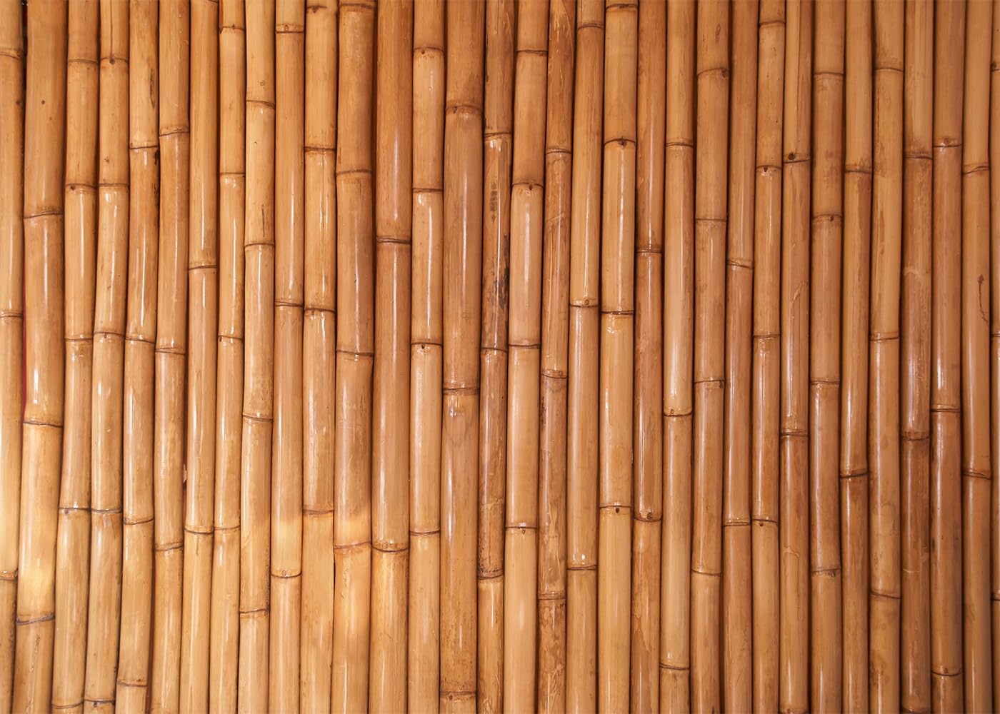 DULUDA 10x8 FT Bamboo Backdrop Tropical Hawaiian Backdrop for Party Bamboo Decorations Photography Decoration Studio Booth Props