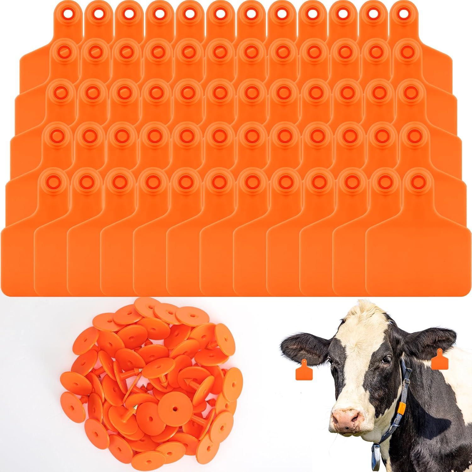 Lothee 100 Pcs Blank Cattle Ear Tags Large Plastic Precision Animal Identification Blank Livestock Ear Tags for Cattle Cow Horse Dog Pig Goat Sheep Farm Management (Orange) 100 Orange