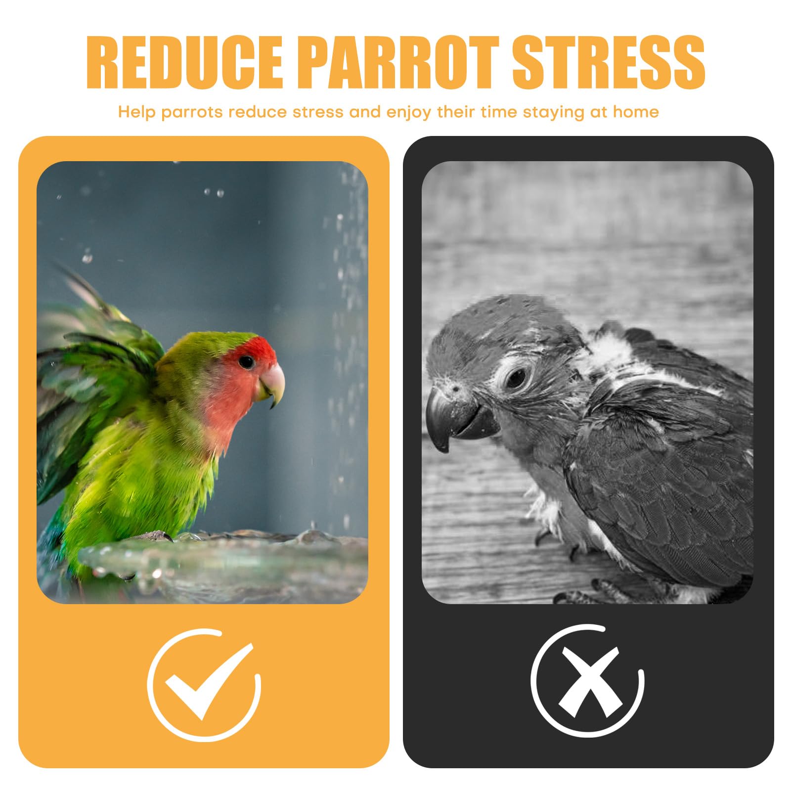 Bañera de baño para pájaros Baño automático para pájaros con bomba, bebedero para pájaros baño accesorios de ducha para periquitos, pájaros, loro (verde, L)