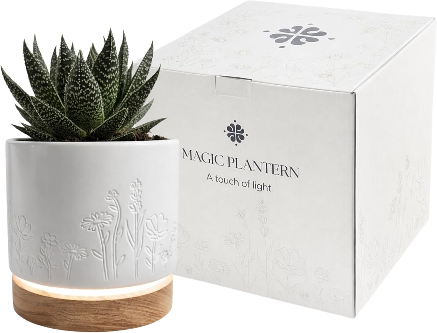 Magic Plantern® - Interactive Planter Lamp – Plant Touch Activated Dimmable Table Lamp with 6" Ceramic Planter, Smart Planer with Light, UL Listed